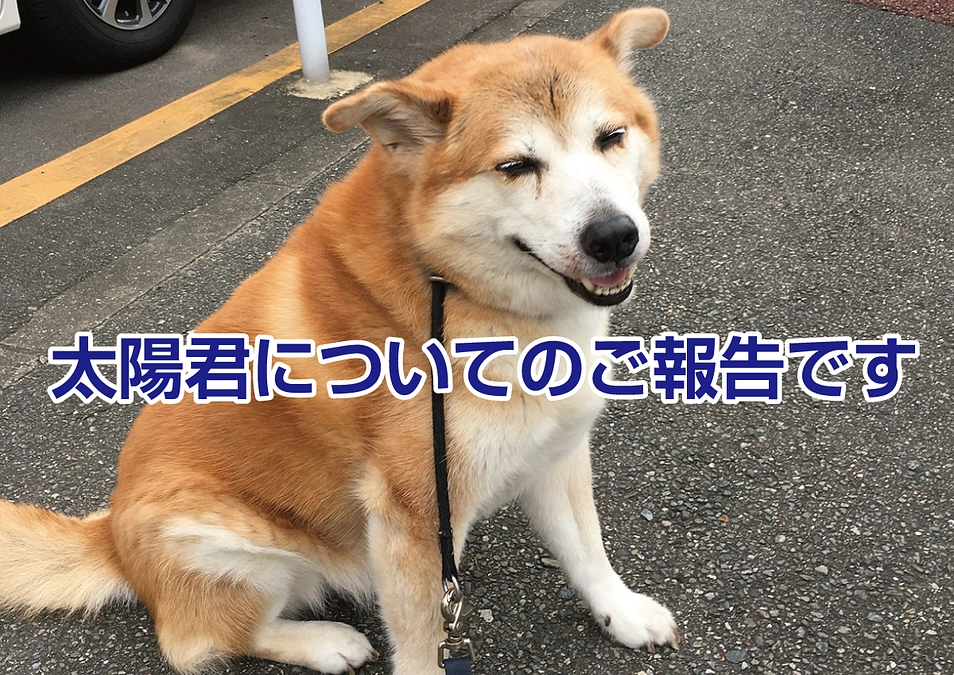 〜 ご報告 〜 抗癌治療中の太陽くんに副作用がでました