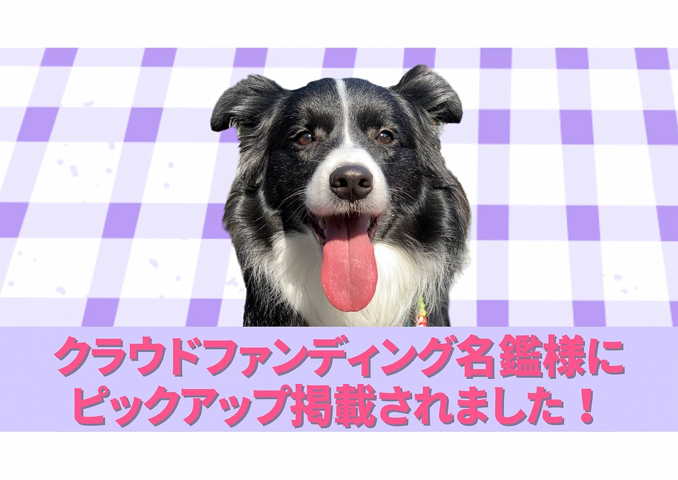 クラウドファンディング名鑑様にピックアップ掲載されました。