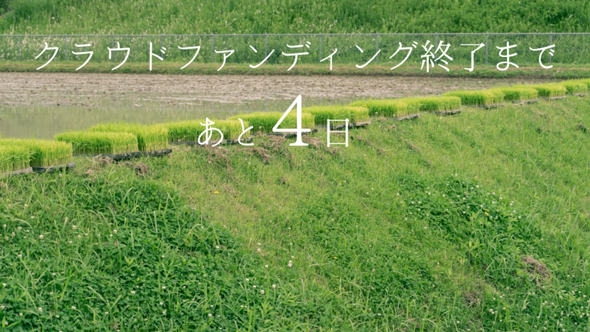 【残り4日】人気リターンのセットをご用意しました。