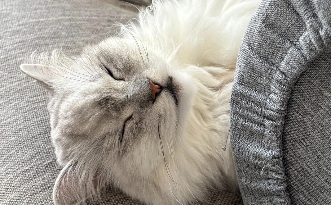 感謝のメール　０