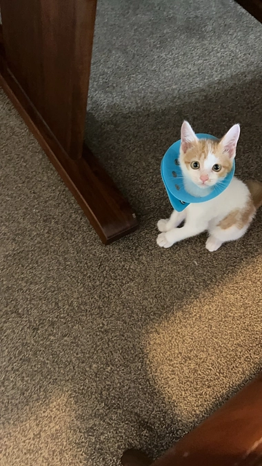 プロジェクト達成しました