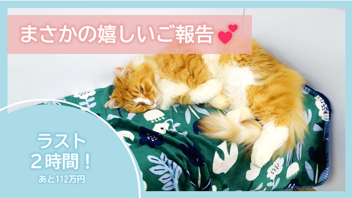 【ラスト２時間⏰】まさかの嬉しいご報告💕【セカンドゴールまで112万円】