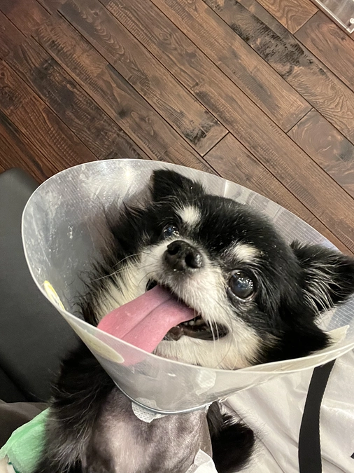 術後4日目の面会