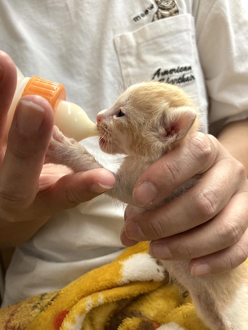 授乳など24時間体制で奮闘中！！