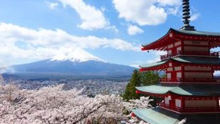 アメリカの小児ガンの少女に富士山と桜を観せたい