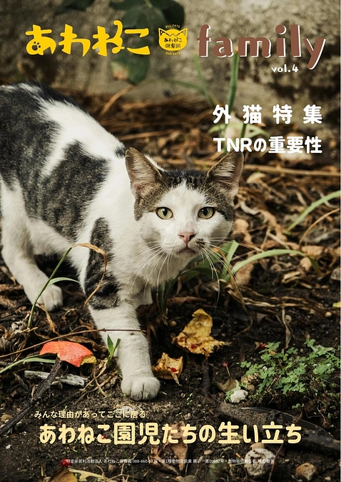 【残り３日】会報誌あわねこfamily発送のご報告