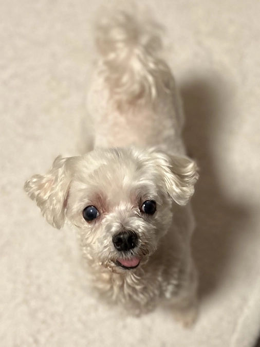 ご支援くださった皆様へ