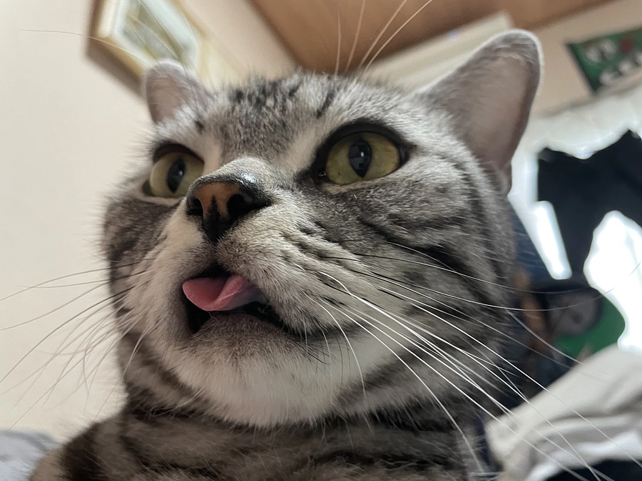 本日の銀時(投薬58日目)