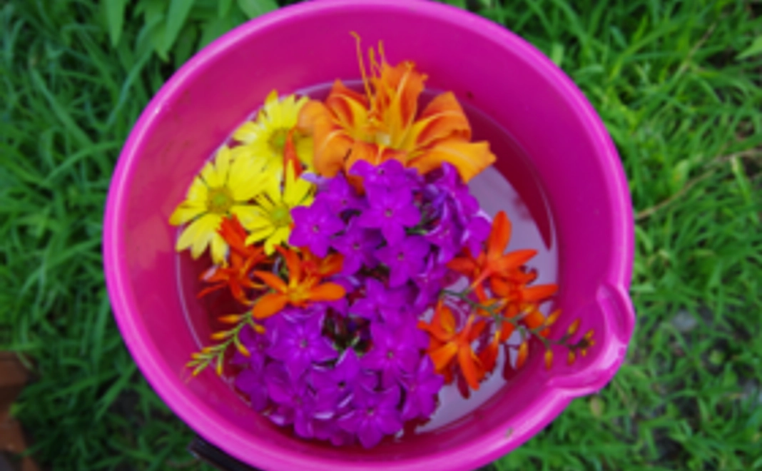 【リターンが不要な方向け】 お気持ち支援プラン