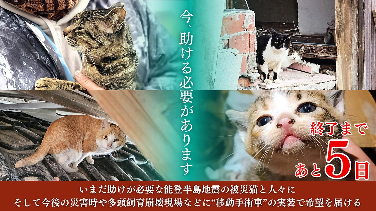 【クラウドファンディング 残り5日！本日19時より生配信】拡散のご協力をお願いします！