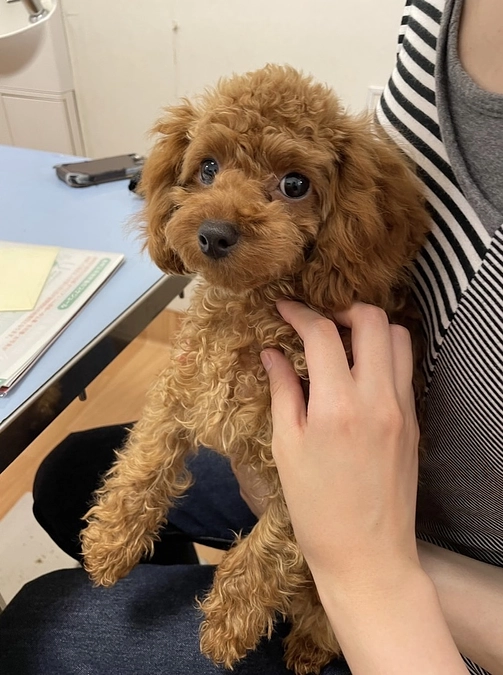 応援メッセージが届きました！