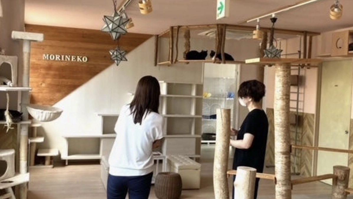 公益財団法人JAC環境動物保護財団の事務局長さんが視察にいらしてくれました。