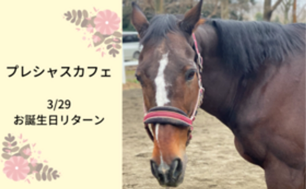 Happy Birthday to プレシャスカフェ【3/17~3/31限定リターン】