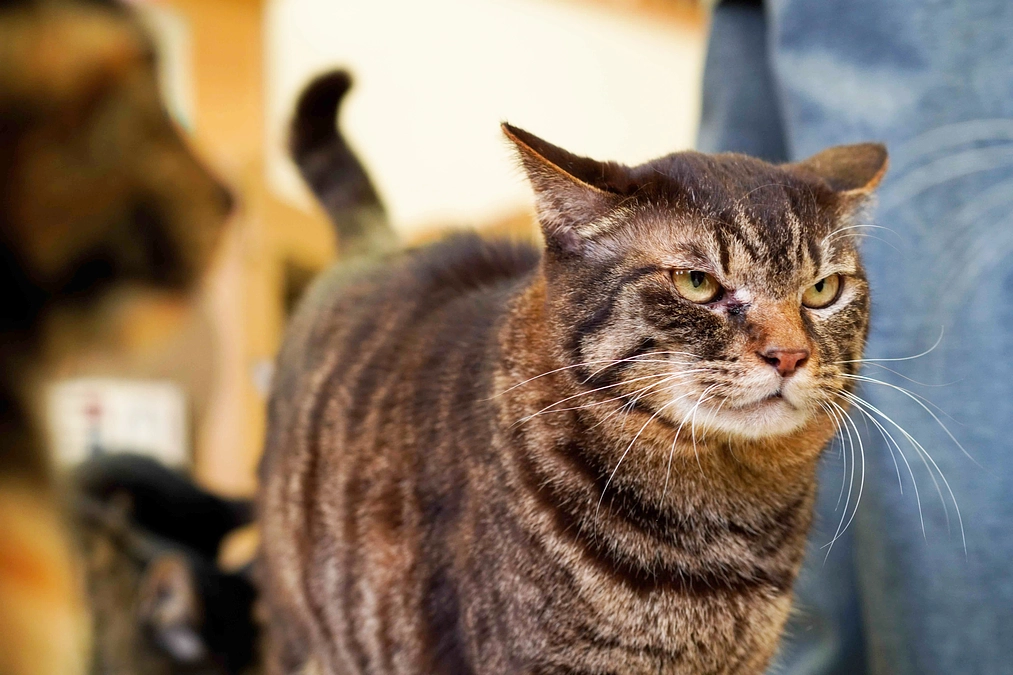 【ご報告】いただいたご支援へのリターンについて