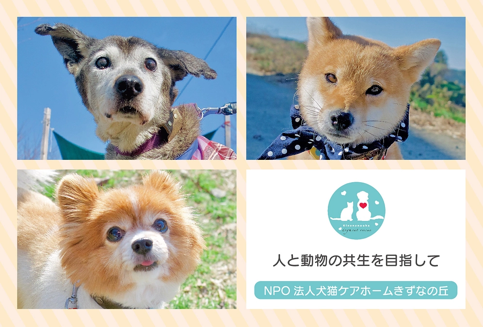 リターン発送しました！