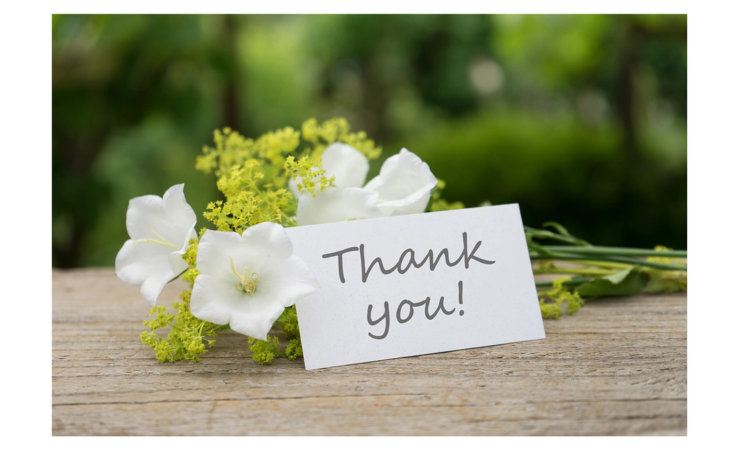 《全力応援》お礼のメール+活動報告