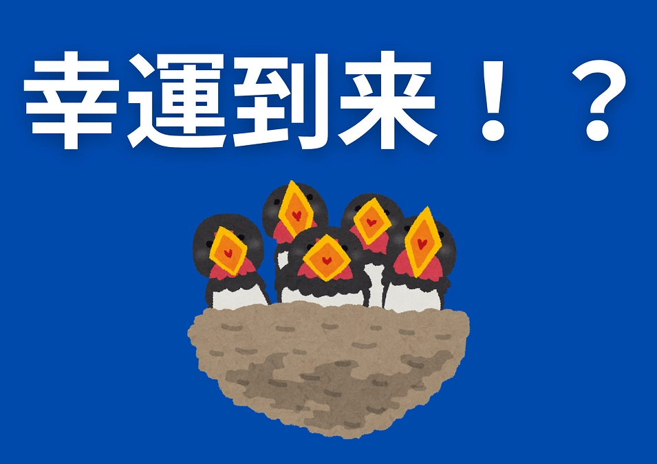 🌞暑さ本番、皆さんいかがお過ごしでしょうか？