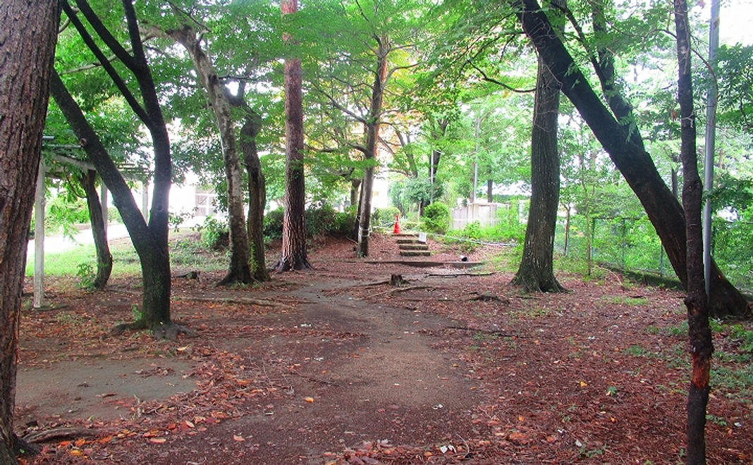 森の教室お披露目会へのご招待