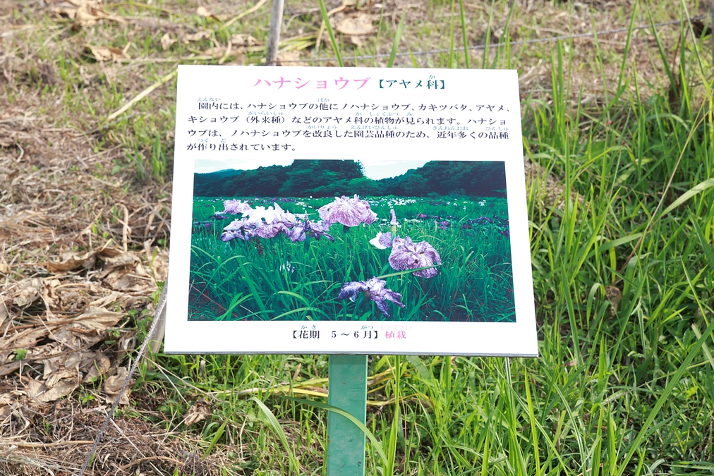 花看板が１０枚出来ました！
