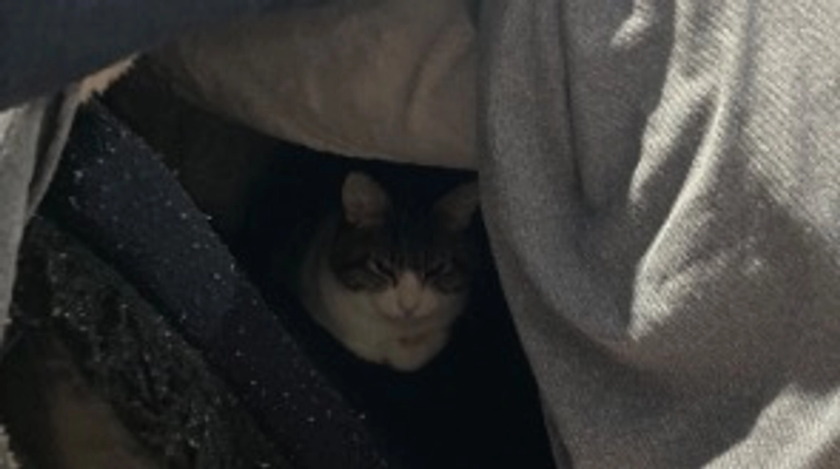 12/17 ⛄️コタツを買いました⛄️