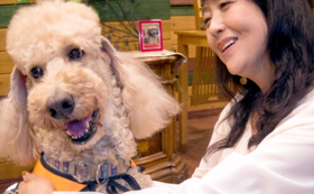 【１万円コースA】直営カフェでセラピードッグに会える！