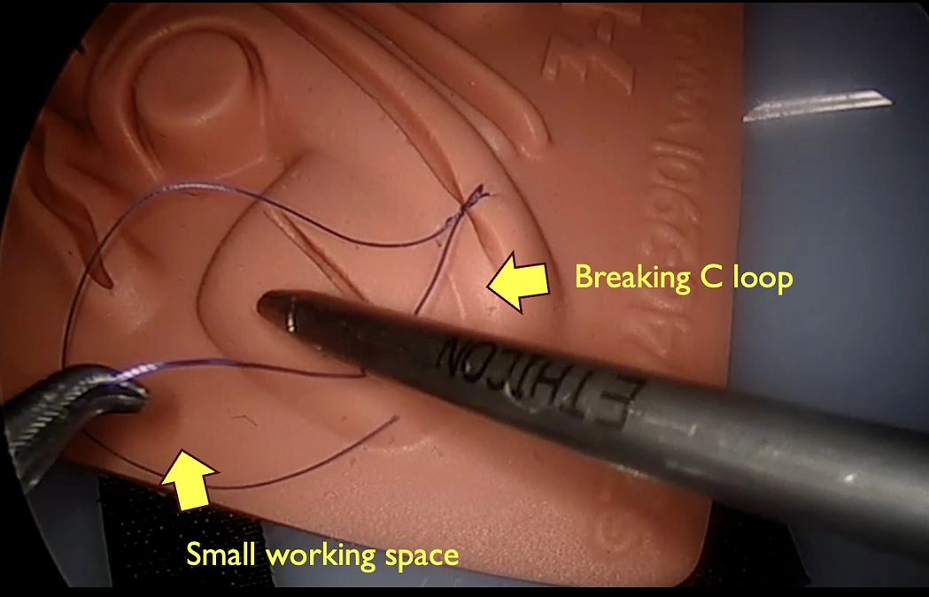 残り【1日】応援メッセージのご紹介③