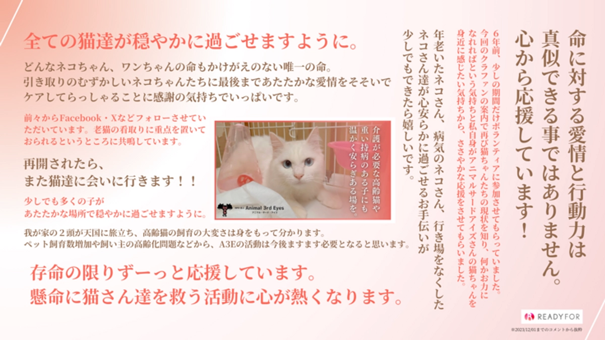 【ついに80％突破！】ご支援いただいた方からの応援コメントのご紹介します！