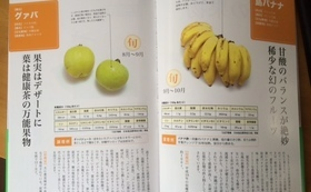 【定価より10％割引】平成28年度版沖縄食材図鑑