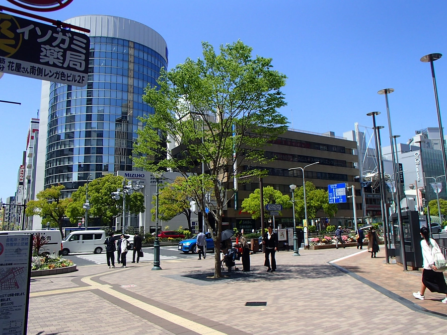 ご支援ありがとうございます｜神戸国際会館前の木陰の様子