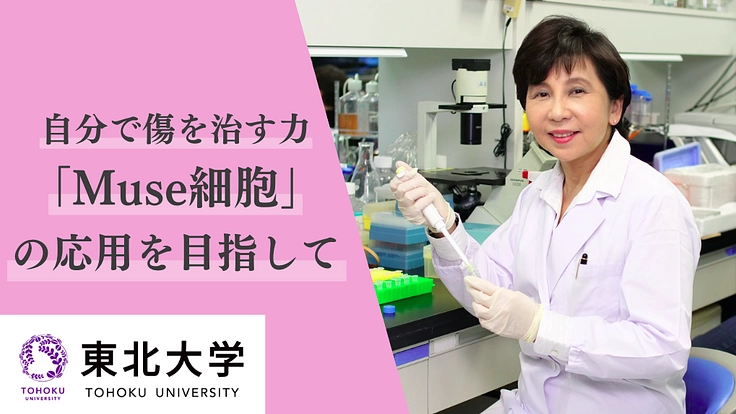 一緒に暮らす犬や猫の未来を守りたい！Muse細胞の応用を目指して