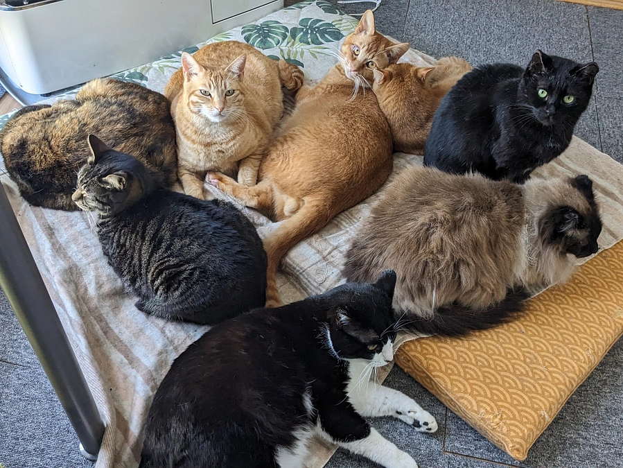 お久しぶりです！