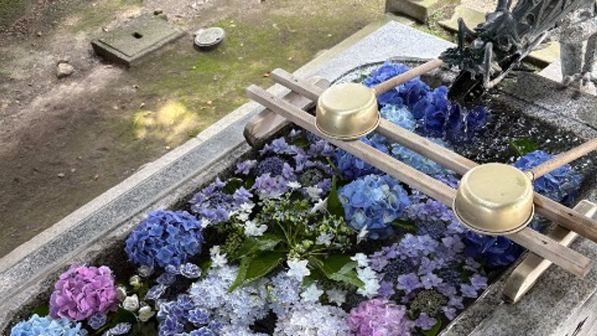 栃木県さくら市　今宮神社に3日間出店させていただきました