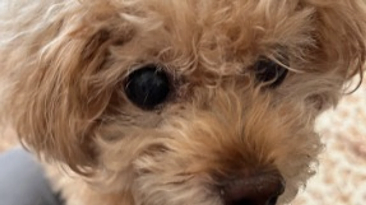 咳と呼吸がひどくて心配です😰