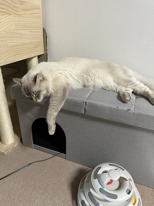 公開から１週間