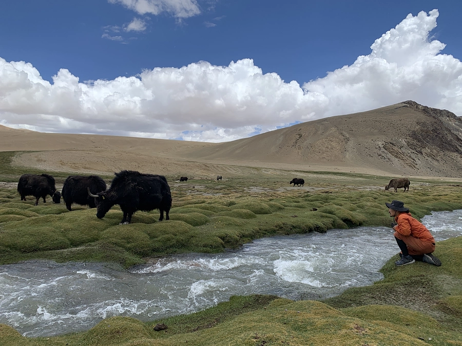 富松篤の制作 in ラダック