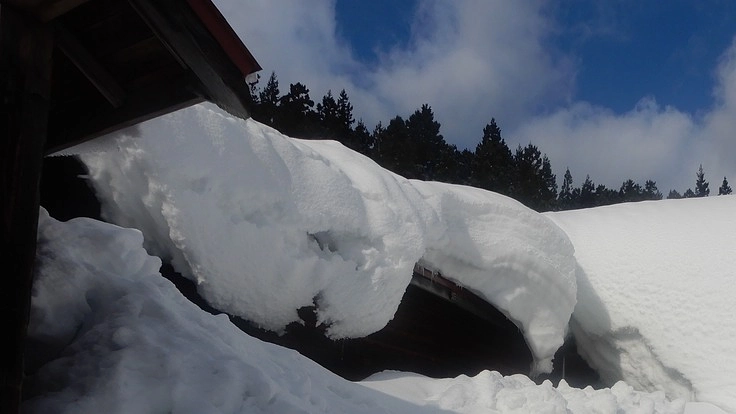 例年以上の豪雪で植林活動用の道具小屋が倒壊しました