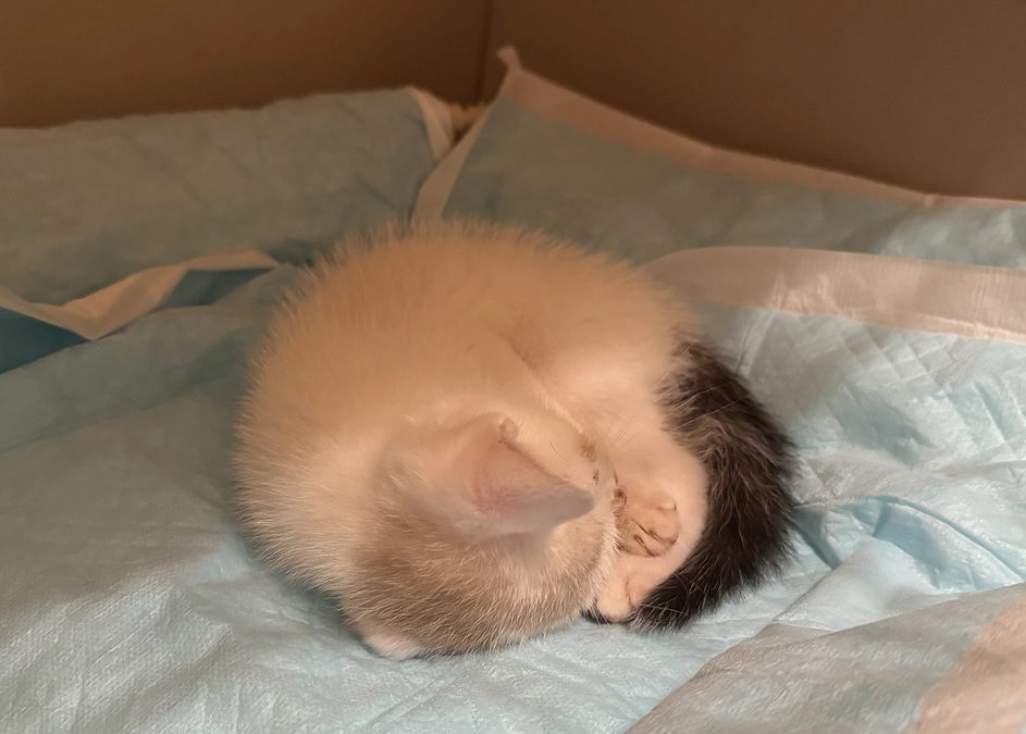 よく食べて、寝て、遊べるように