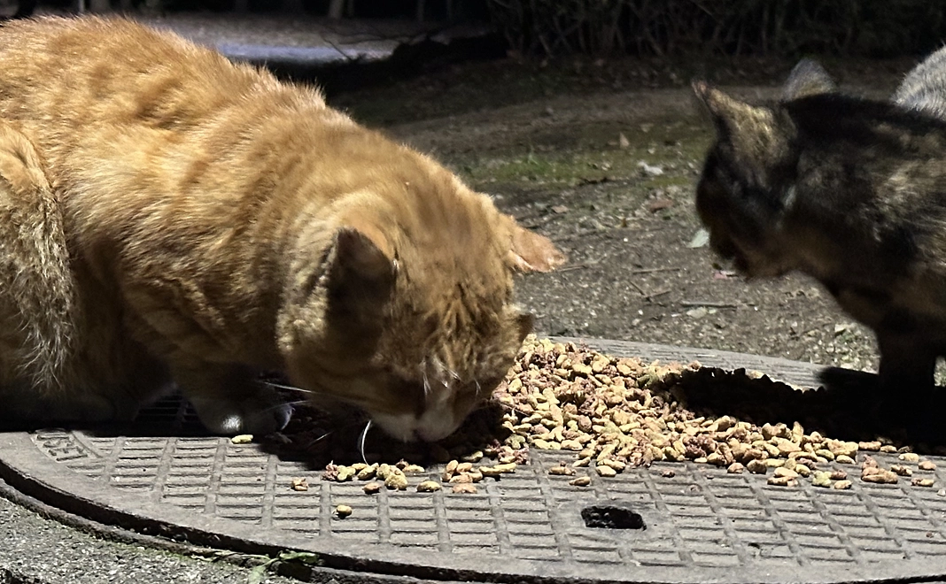 感謝のメッセージ2️⃣