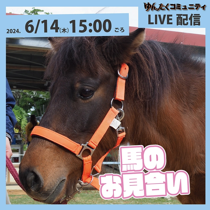 ゆんたくコミュニティ限定ライブ配信「馬のお見合い」