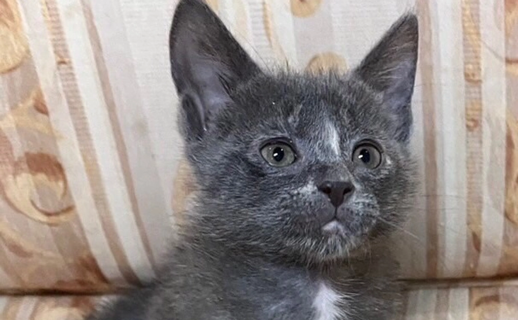 お店のホームページにお名前の掲載(個人名・あだ名)