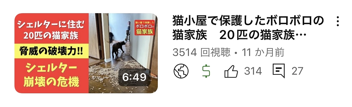 育児に参加する父猫は珍しいそうです