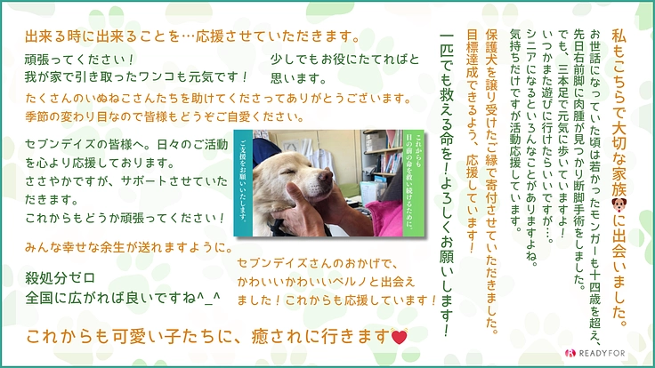 救う命を選ばない。どんな犬猫も保護し続け福岡の里親さんを増やしたい 9枚目