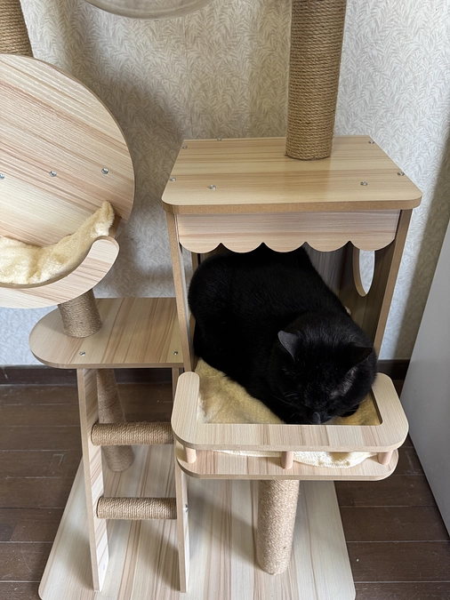 キャットタワー1つめ完成