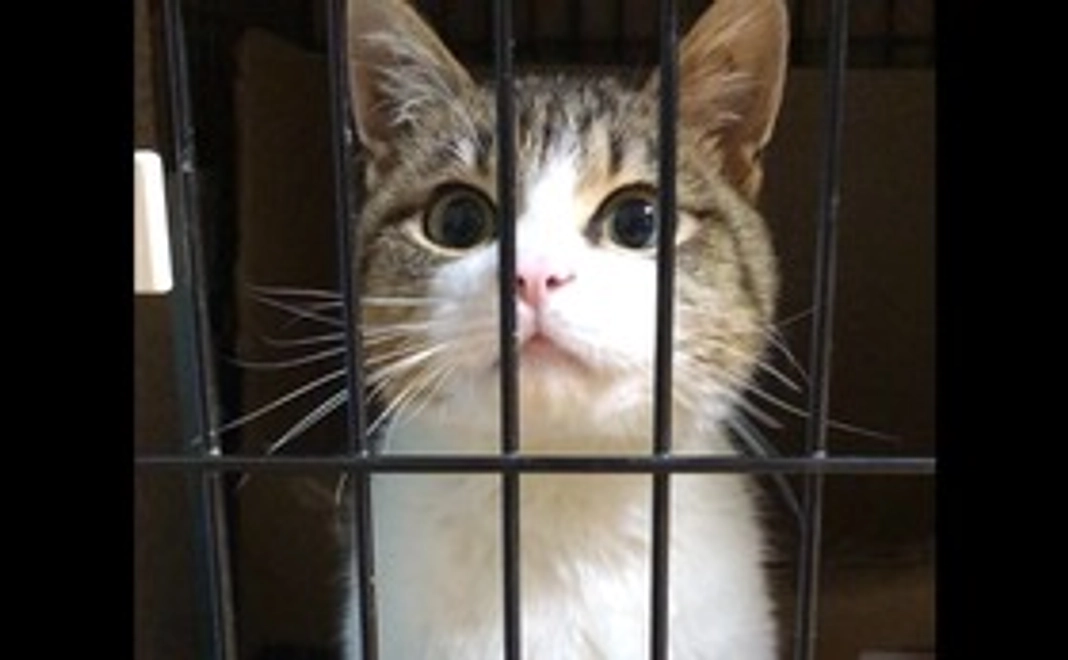 ご支援ありがとうございます！