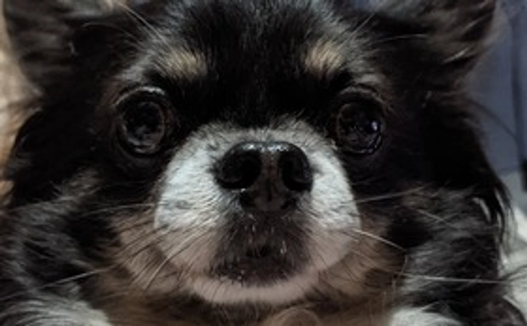 (3千円)アール.大吉全力応援コース