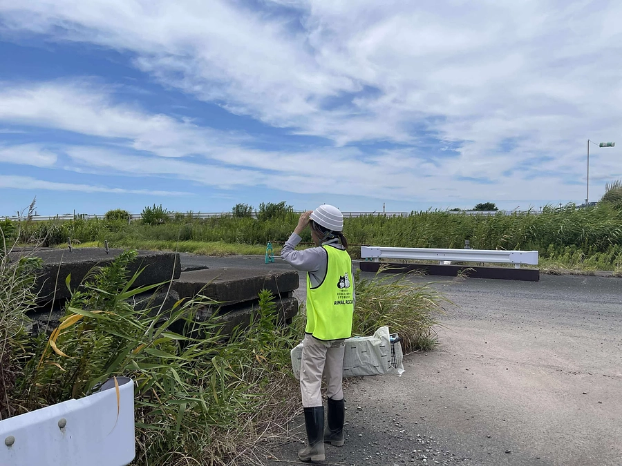 【残り４日】届いた声、動き出した現場──全頭保護へ向けて、皆さんと共に