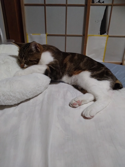 定期検診でした。