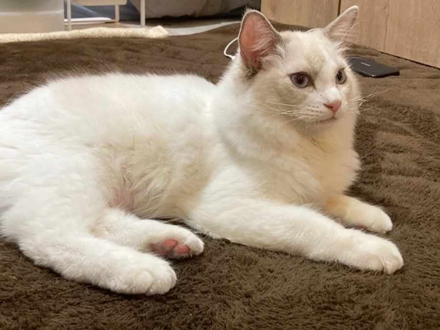 投薬３０日目(2023.4.11)