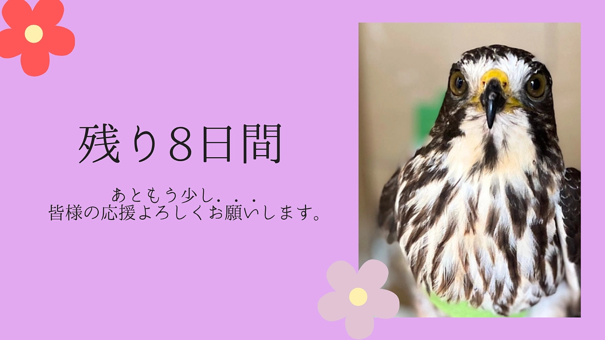 【残り8日！達成率70％／支援者75人　本当にありがとうございます】