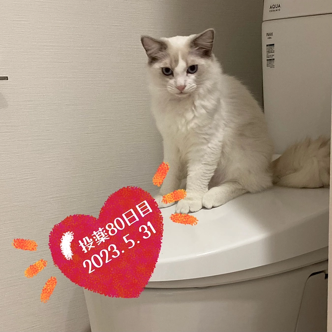 投薬８０日目(2023.5.31)